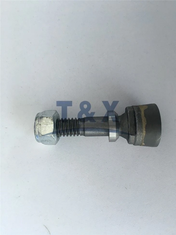 Stump Grinder Teeth